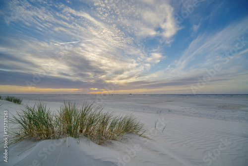 Strandhafer im Sonnenuntergang III