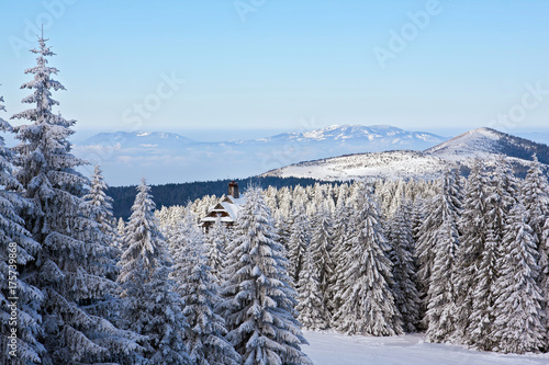Winter landscape scene of mountain and forest
