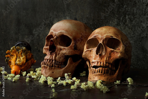 Skulls and candle with dried flowers on a wooden table beside the dark wall. Selective Focus and Still life style. 