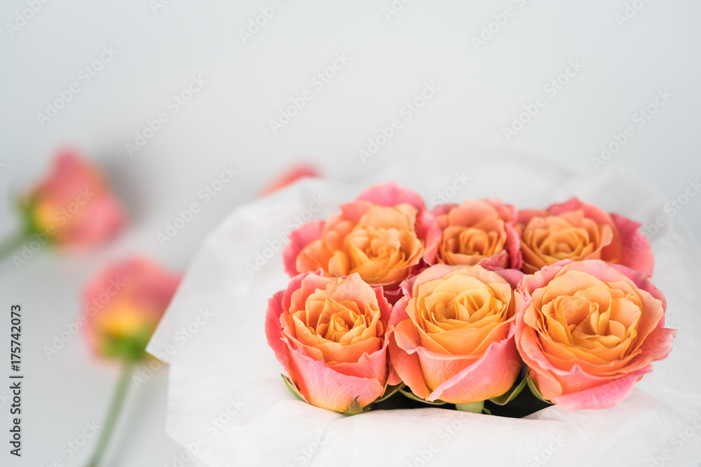 group of rose limited colour in the white paper background group of rose limited colour in the white paper background