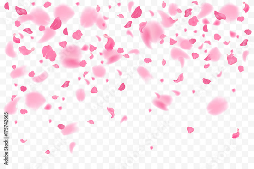 Falling flower petals