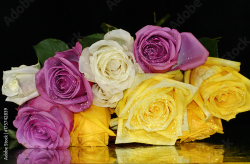 A close up of a Rose flowers