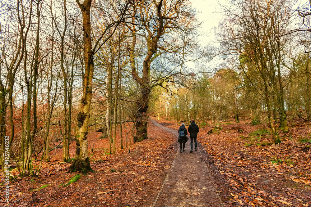 autumn landscape from the English countryside autumn landscape from the English countryside