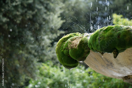 Wasserspiel mit Moos