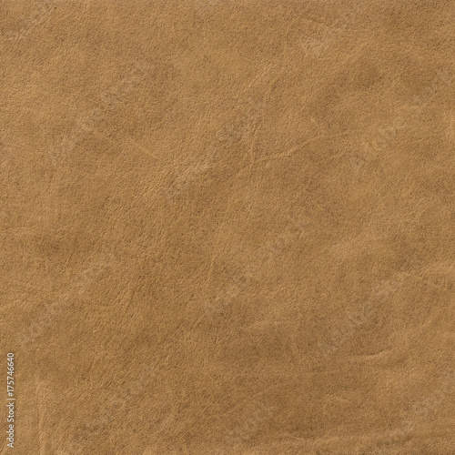 Wallpaper Mural Leather texture background for fashion design 
 background. Torontodigital.ca