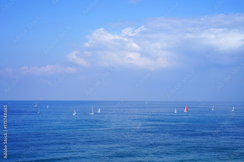 Sea horizon on a sunny summer day