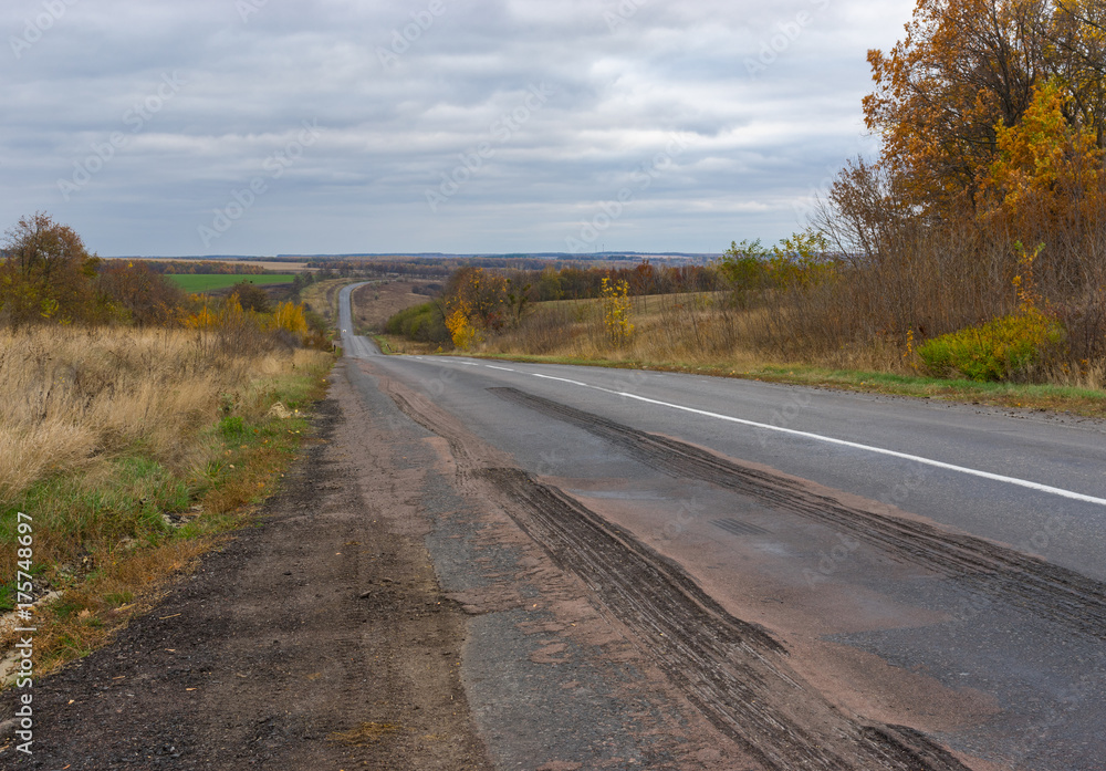 Empty rural road at cloudy autumnal day in Sumskaya oblast, Ukraine