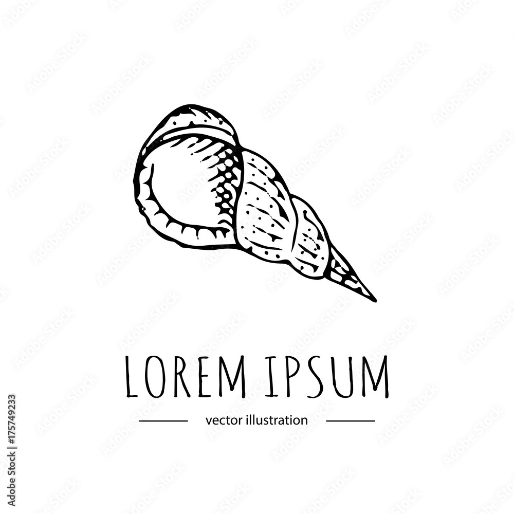 Naklejka premium Hand drawn doodle sea Shell icon isolated on white background. Vector illustration Florida symbol USA cartoon ocean element Tropical beach vacation seashell Underwater life