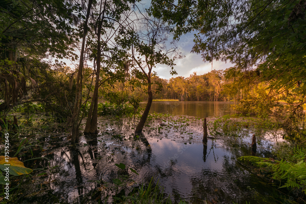 Autumn At Silver Springs State Park Autumn At Silver Springs State Park