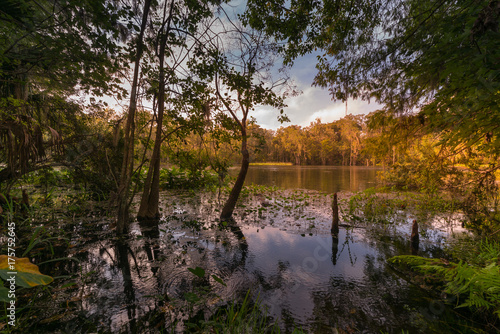 Autumn At Silver Springs State Park