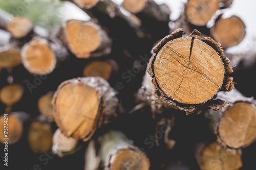Pile of logs. Countryside logs in a field