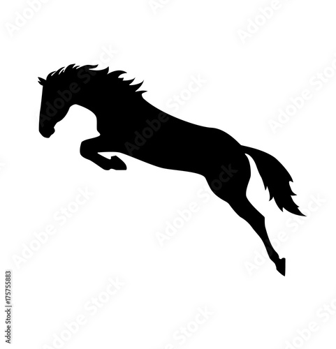 Bouncing horse. Black silhouette. Vector illustration