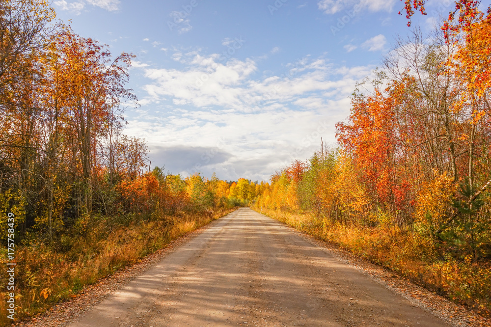 Fototapeta premium Autumn landscape: road, colorful trees and blue sky