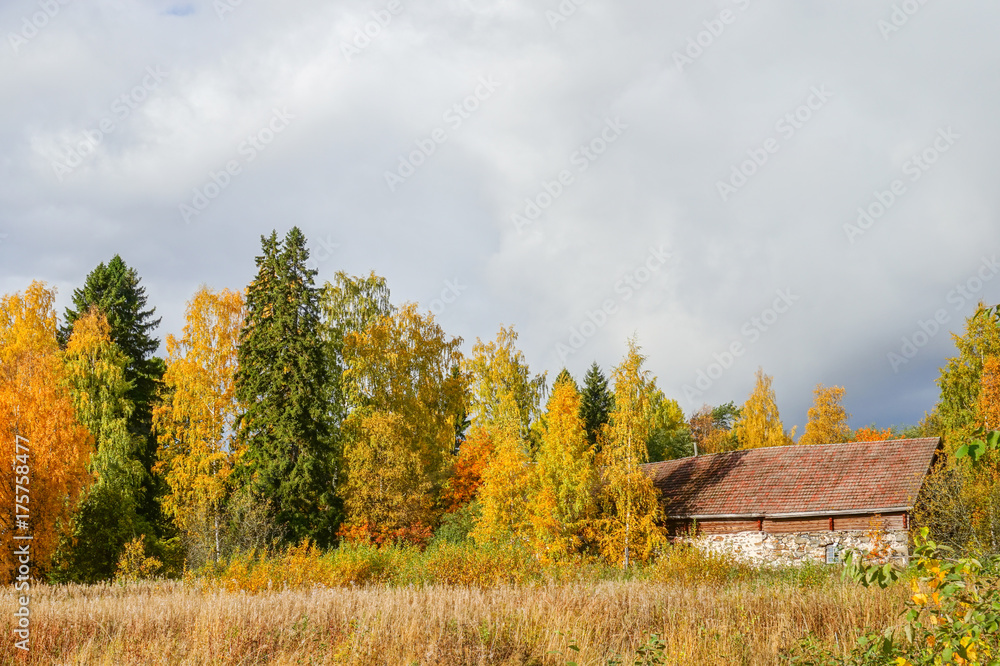 Autumn landscape: field, colorful trees and old barn
