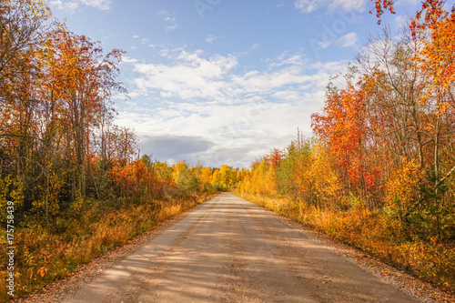 Autumn landscape  road  colorful trees and blue sky