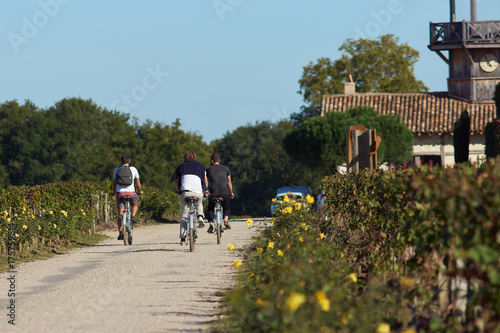 Cyclistes dans le vignoble bordelais, Nouvelle-Aquitaine, Gironde, France
