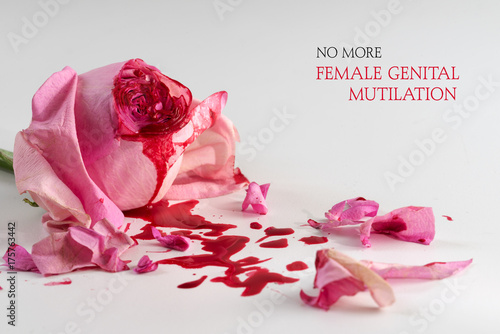 cut rose blossom, blood and petals on a bright gray background with text No More Female Genital Mutilation,  concept for international day 6 february