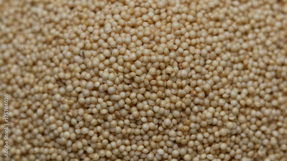 Amaranth seeds rotating on white background. Close up
Amaranth seeds rotating on white background. Close up