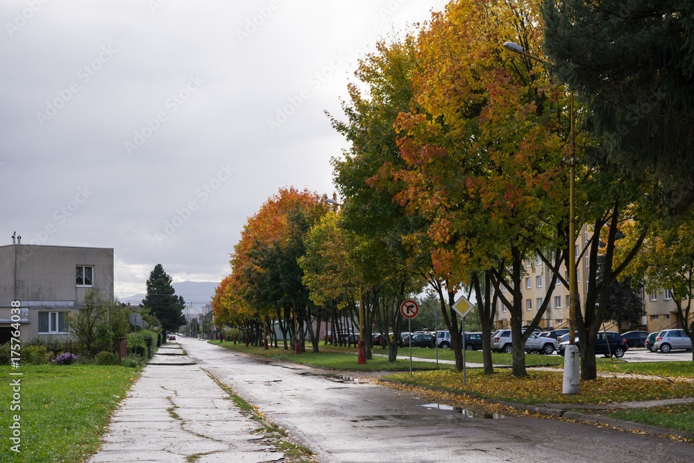 Rainy street with colorful trees during autumn. Slovakia