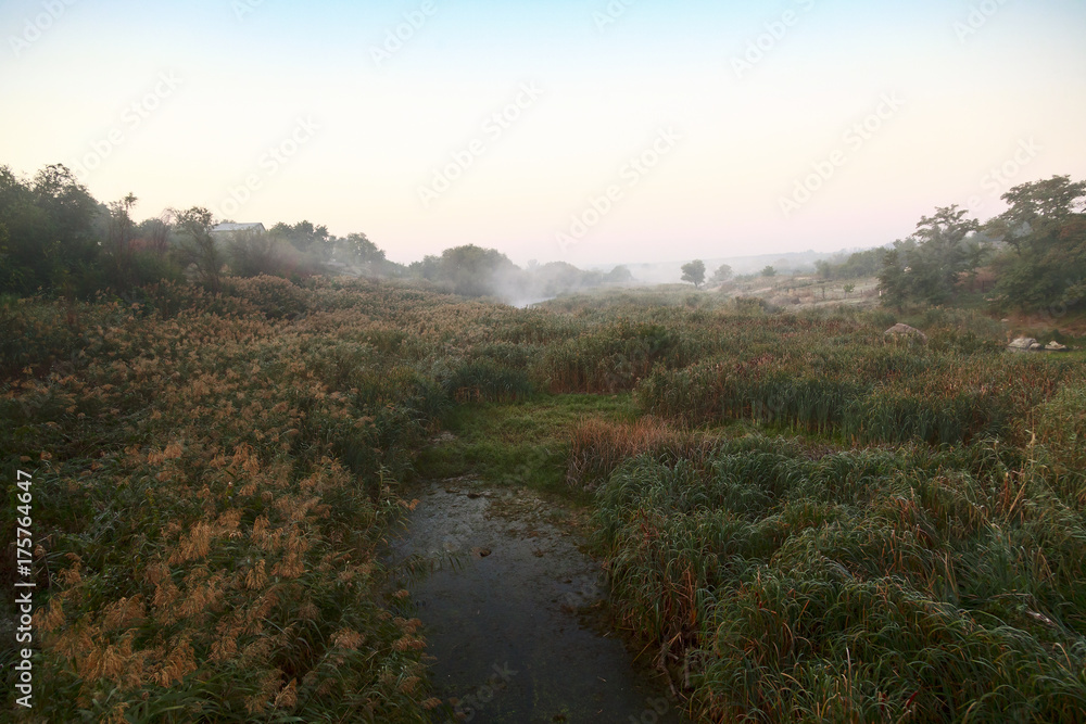 Morrning scene on river. The river in a fog. Beautiful landscape with trees, log, colorful leaves and fog. Nature background.