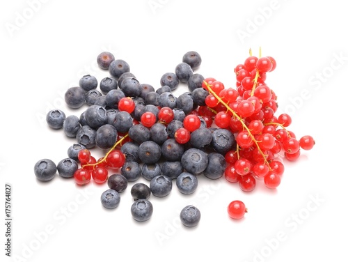 fresh berry berries fruit isolated on a white background