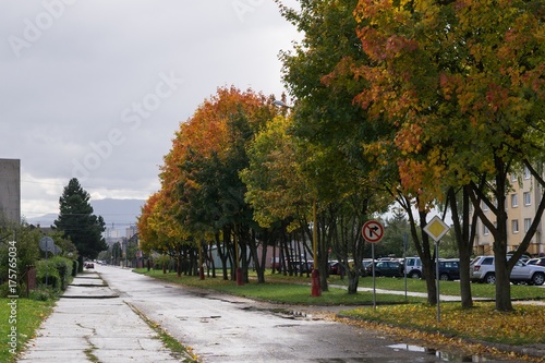 Rainy street with colorful trees during autumn. Slovakia