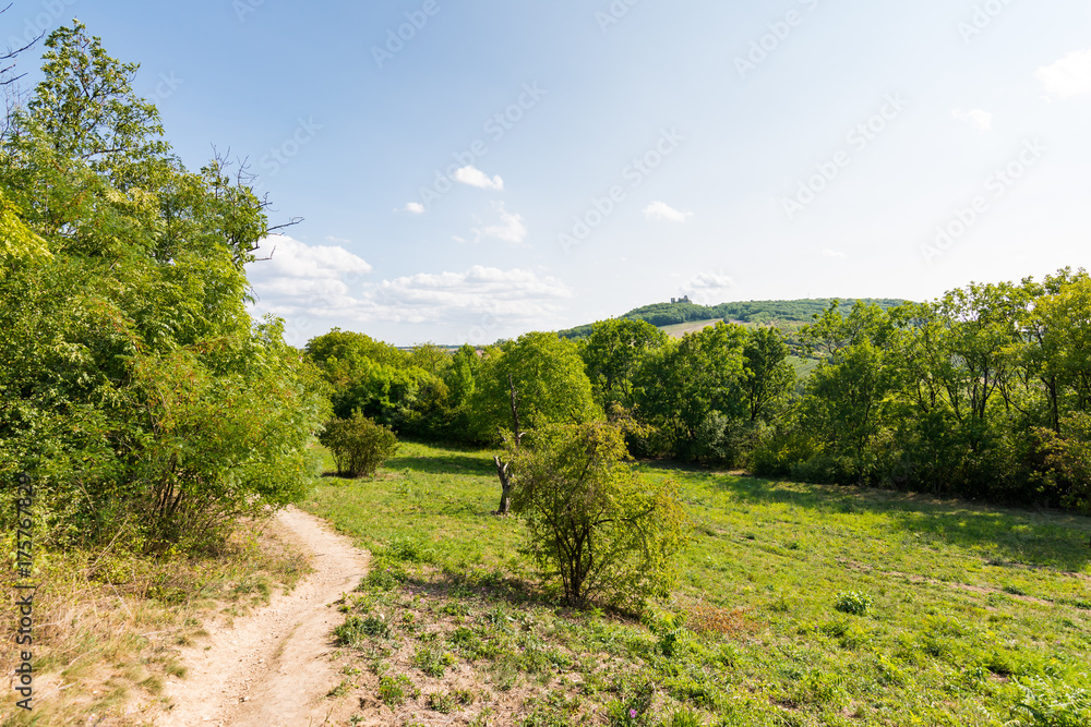 Path near the fields and meadow, agricultue, trees and bushes. Summer weather and blue sky