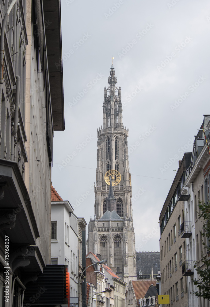 Obraz premium Onze Lieve Vrouwekathedraal (Cathedral of Our Lady) in Antwerp Belgium at the end of the street. Shops line the high street with the cathedral of Antwerp at the end of the street. Tall gothic tower.