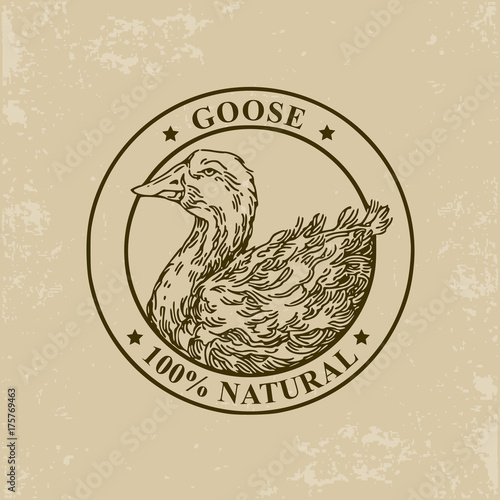 Goose label. Vector illustration.