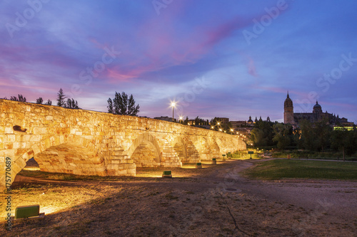 Catedral Nueva de Salamanca and Roman Bridge