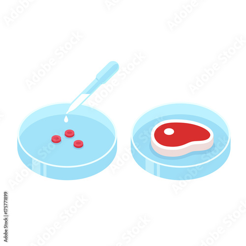 Lab grown meat