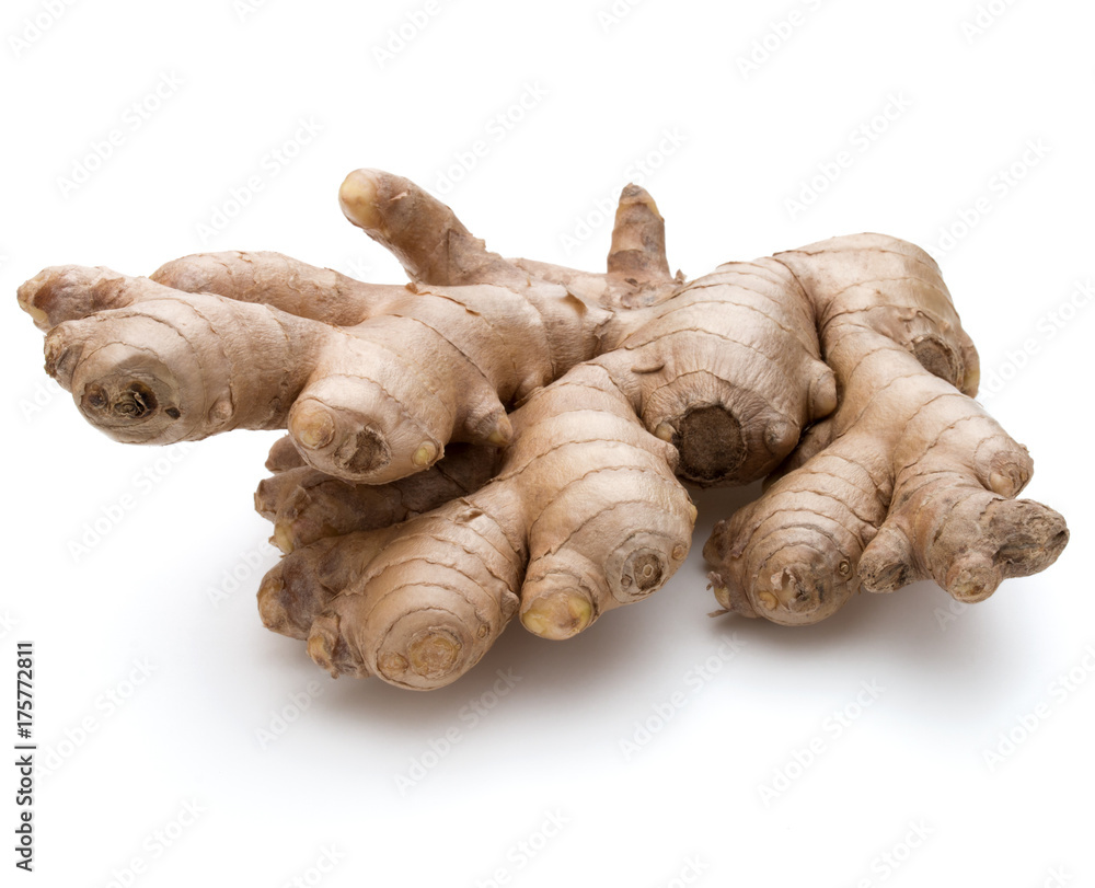Fresh ginger root or rhizome isolated on white background cutout Fresh ginger root or rhizome isolated on white background cutout