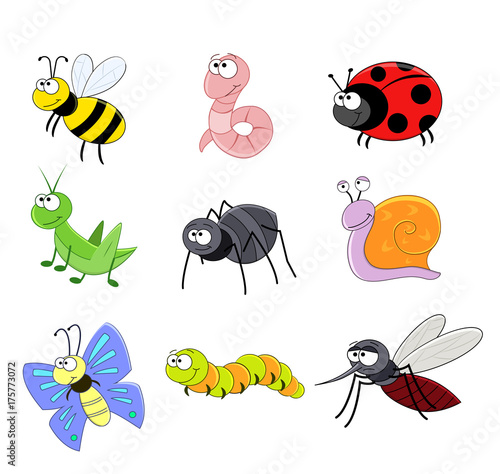 big set with the cartoon insects vector illustration