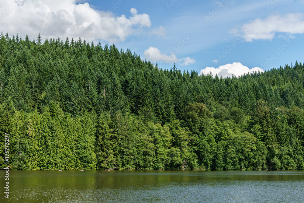 Obraz premium Alice lake with green forest and blue sky on summer day Squamish Canada.