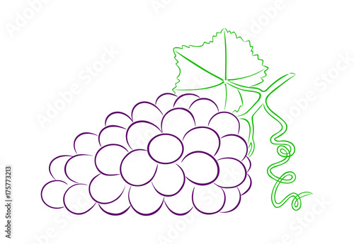 bunch of ripe grapes