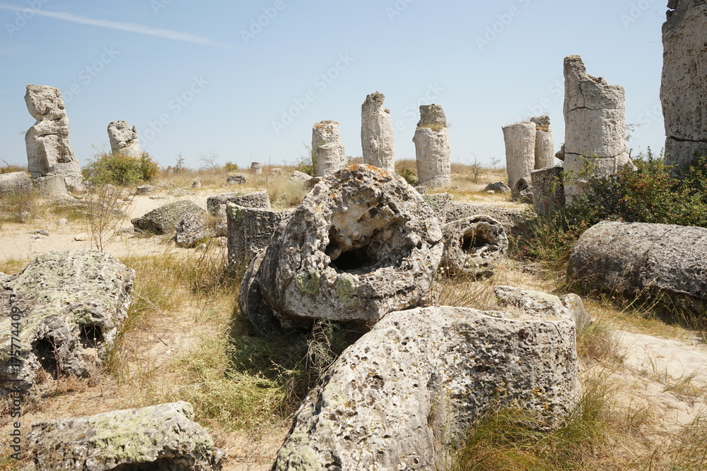 Pobiti Kamani (The Stone Desert), a desert-like rock phenomenon located on the north west Varna Province border in Bulgaria
Pobiti Kamani (The Stone Desert), a desert-like rock phenomenon located on the north west Varna Province border in Bulgaria
