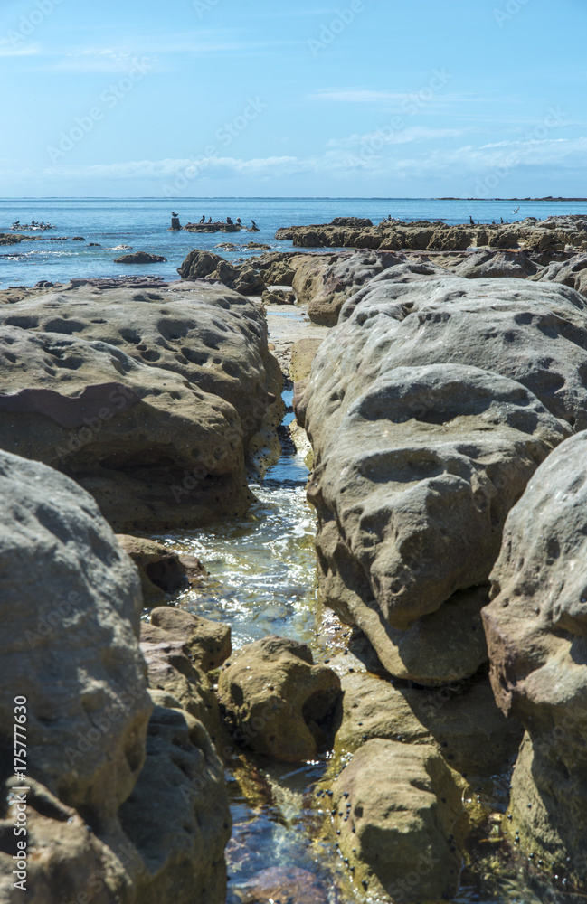 Cormorants fishing from the rocks at Currarong New South Wales Australia. copyspace. Cormorants fishing from the rocks at Currarong New South Wales Australia. copyspace.