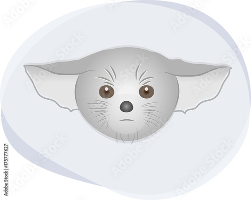 Gray Cat Character