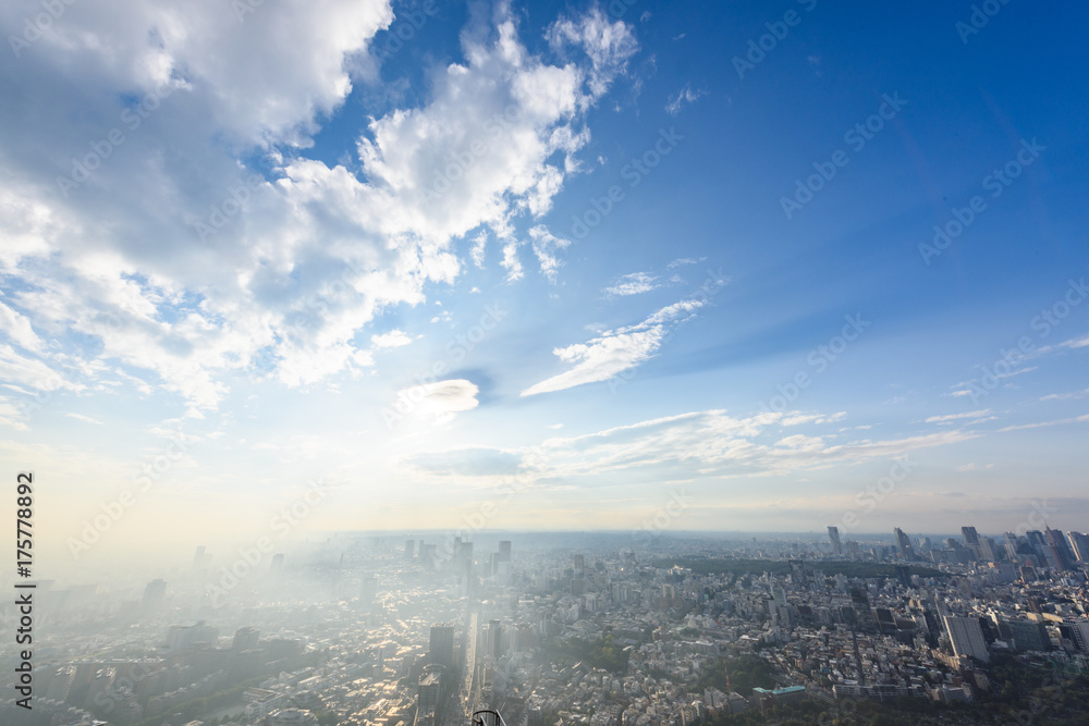 Obraz premium 霧の境目