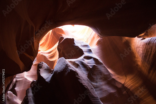 Antelope Canyon Bear