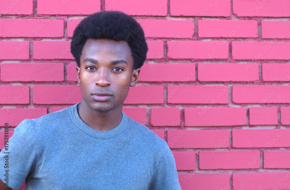 young man t-shirt portrait brick wall young man t-shirt portrait brick wall