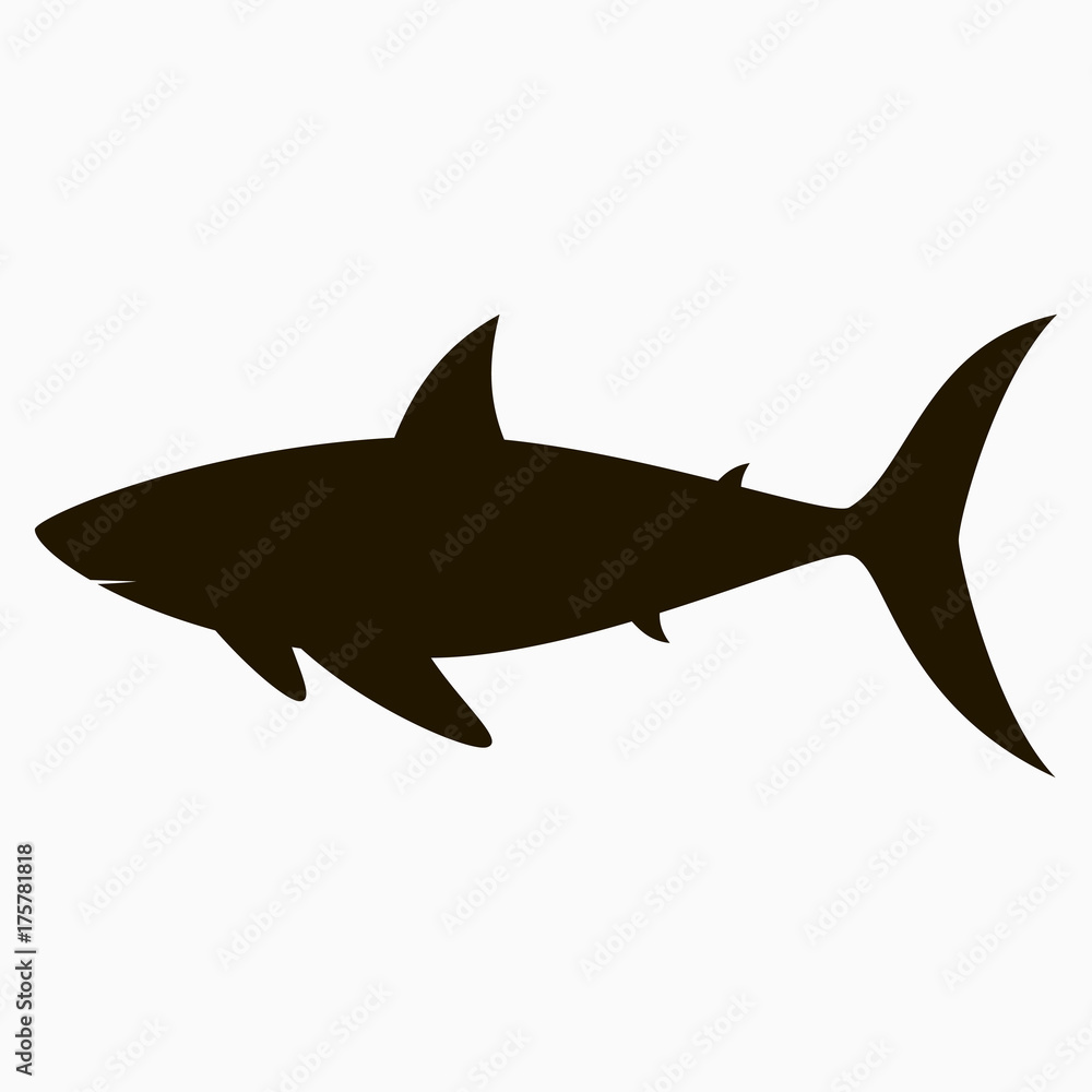 Shark icon. Logo template. Vector illustration. Shark icon. Logo template. Vector illustration.