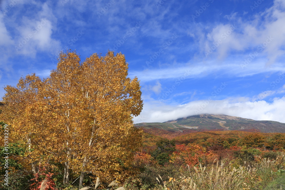 秋晴れの高原から鳥海山を望む Mt.Chokai, Yamagata, Japan	