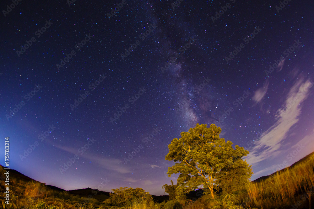 Obraz premium milky way rise over tree Long exposure noise most commonly manifests itself as bright.