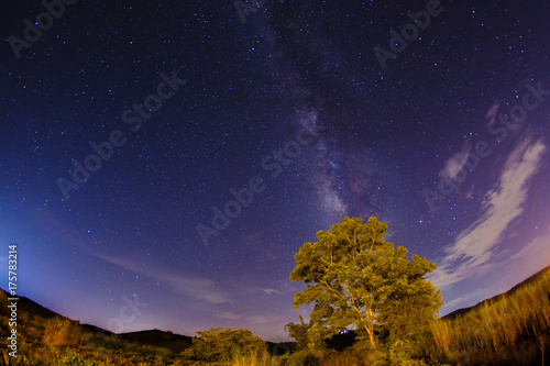 milky way rise over tree Long exposure noise most commonly manifests itself as bright.