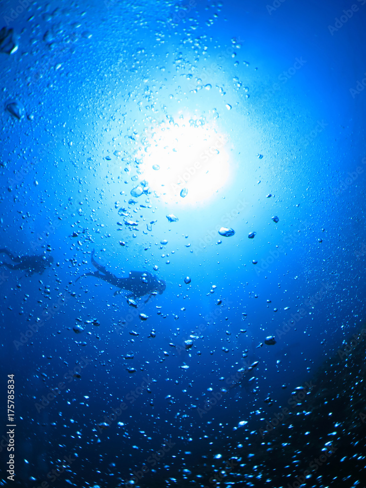 スキューバダイビング 海底から見上げたダイバーと太陽がある風景 Stock 写真 Adobe Stock