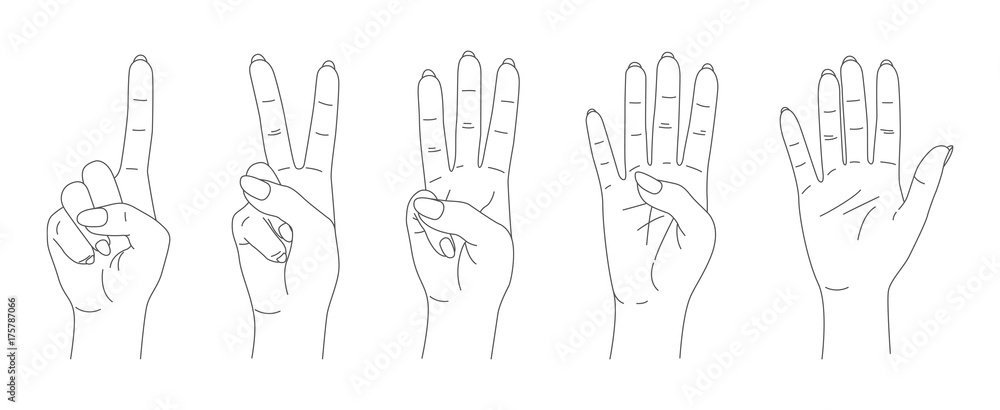 finger count vector, hands sketch set finger count vector, hands sketch set