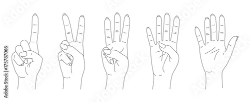 finger count vector, hands sketch set
