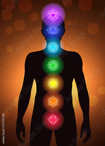 chakras location in human body vector