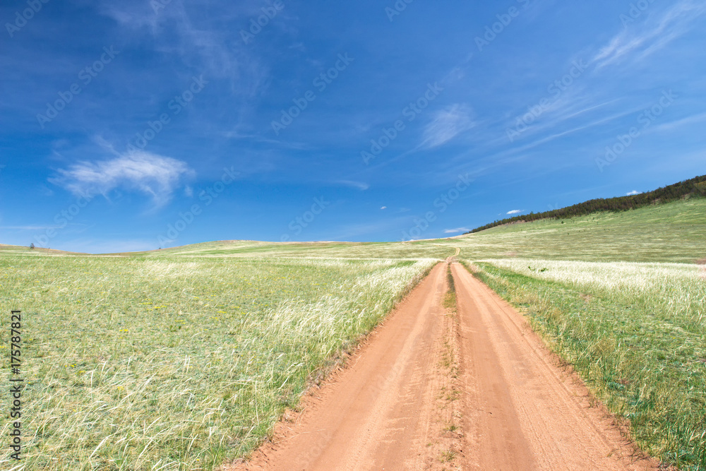 Road in a wild field